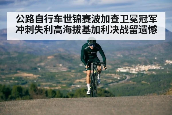 cyclist climbing mountain road