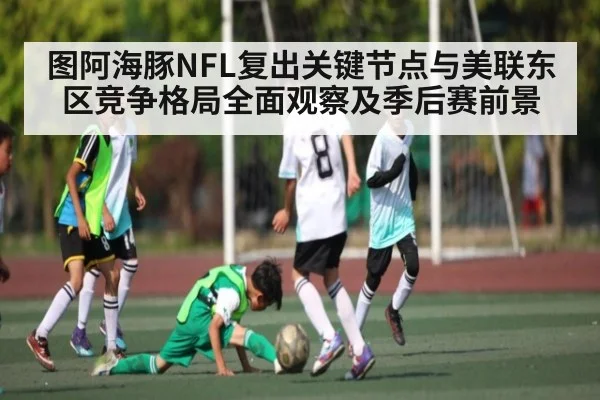 图阿海豚NFL复出关键节点与美联东区竞争格局全面观察及季后赛前景 | c7c7