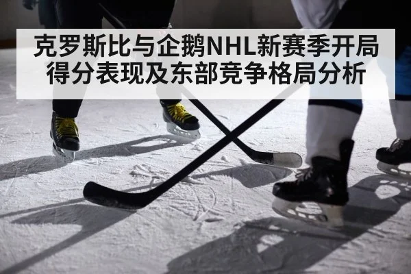克罗斯比与企鹅NHL新赛季开局得分表现及东部竞争格局分析 | c7c7